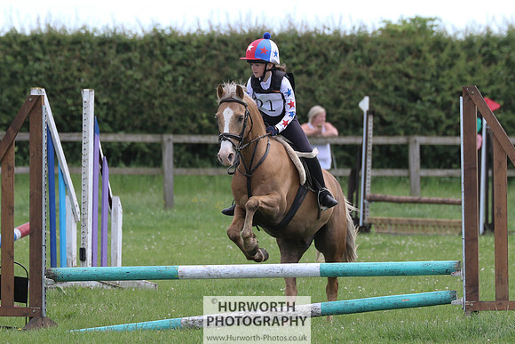 Hurworth Show Cross 139