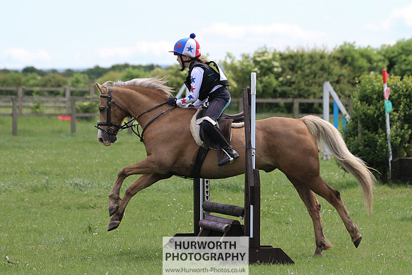 Hurworth Show Cross 146