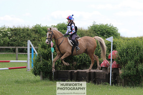 Hurworth Show Cross 150