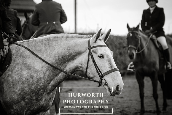 Hurworth Hunt 215