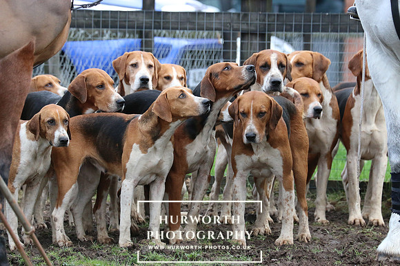 Hurworth Hunt 219