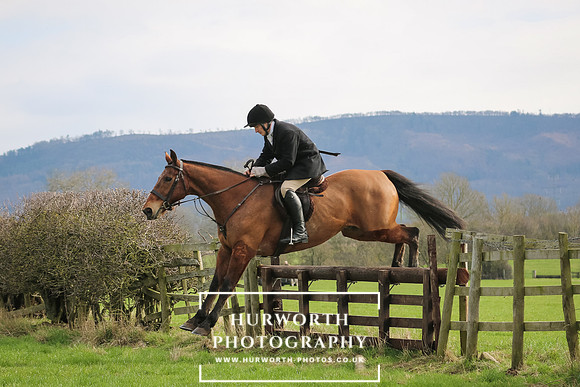 Hurworth Hunt 259
