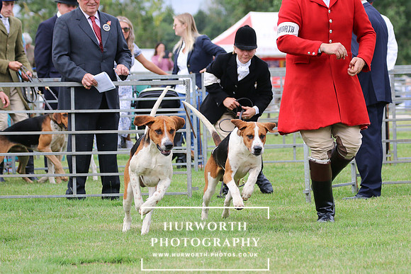 Hurworth Hunt 1