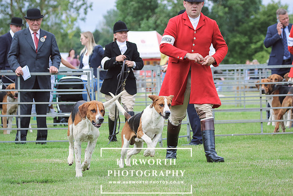 Hurworth Hunt 3