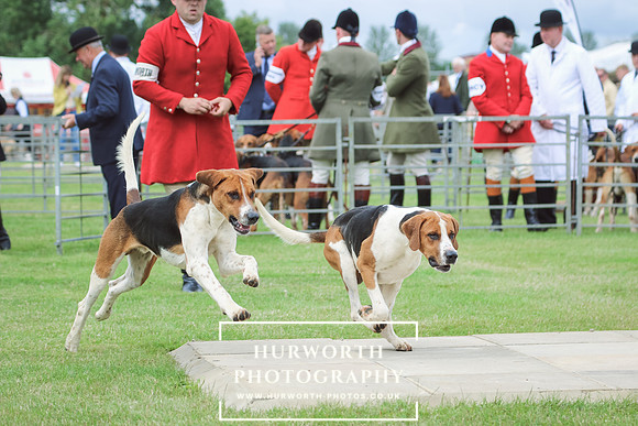 Hurworth Hunt 4