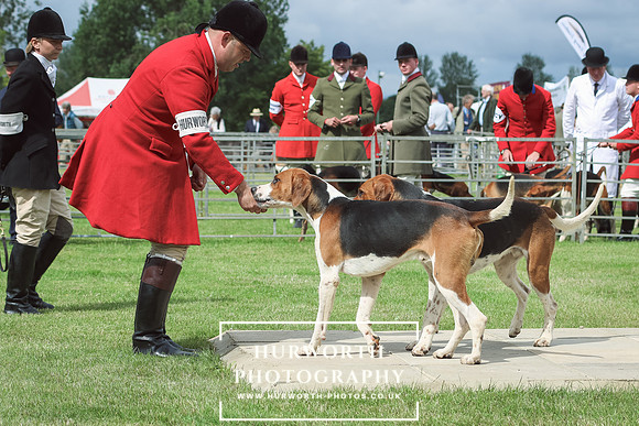 Hurworth Hunt 11