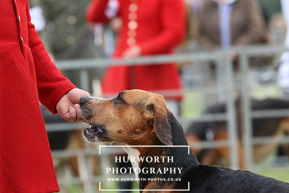 Hurworth Hunt 39