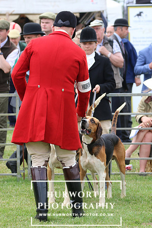 Hurworth Hunt 46