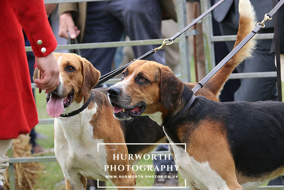 Hurworth Hunt 54