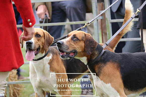 Hurworth Hunt 56