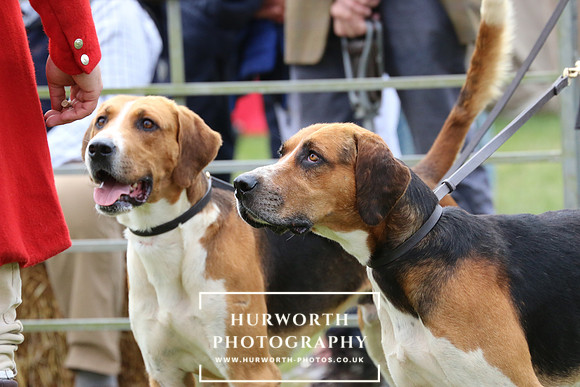 Hurworth Hunt 62