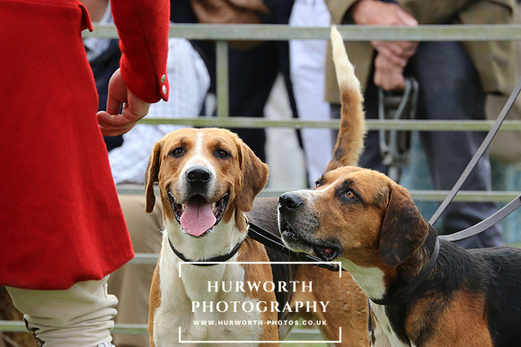 Hurworth Hunt 64