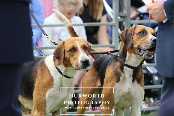 Hurworth Hunt 67