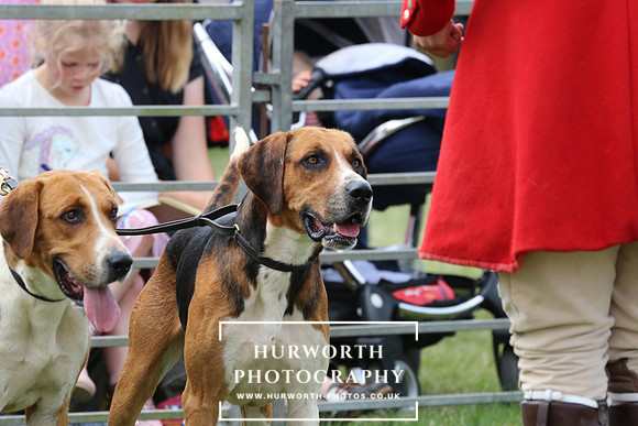 Hurworth Hunt 68