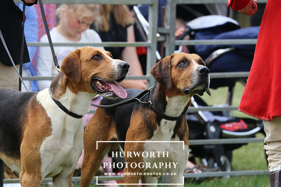 Hurworth Hunt 74