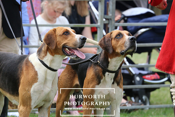 Hurworth Hunt 75