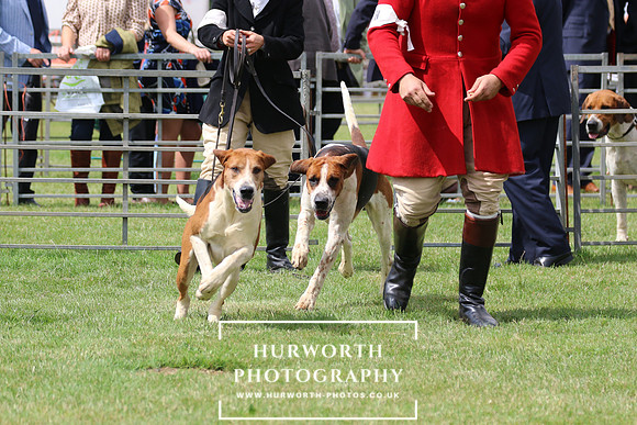 Hurworth Hunt 78