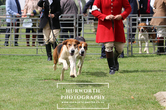 Hurworth Hunt 79
