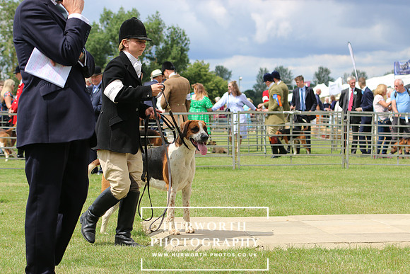 Hurworth Hunt 91