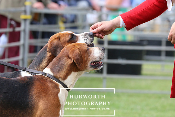 Hurworth Hunt 94