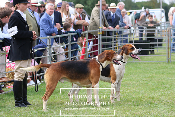 Hurworth Hunt 102