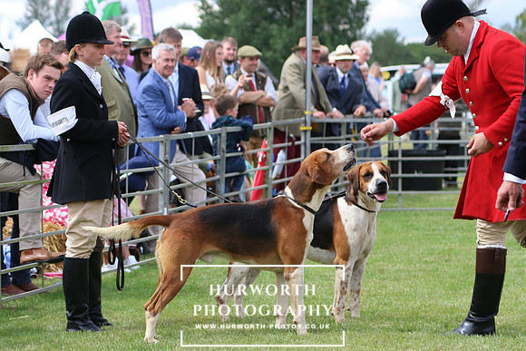 Hurworth Hunt 103