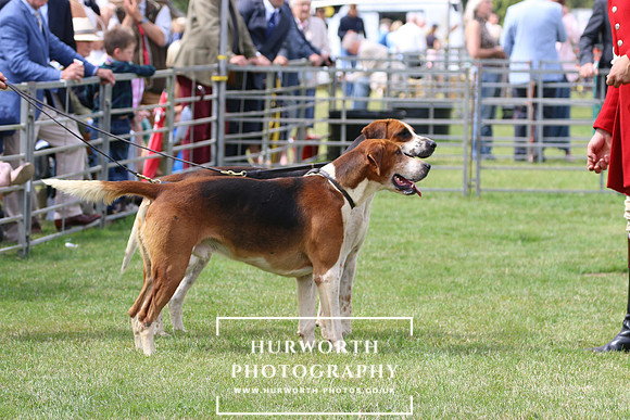 Hurworth Hunt 106