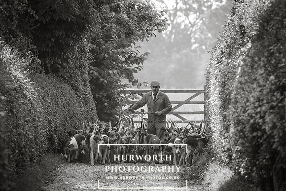 Hurworth Hunt 15