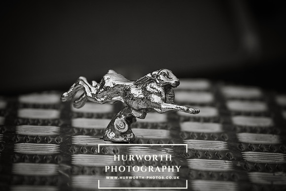 Hurworth Hunt 251