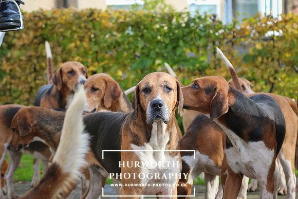 Hurworth Hunt  118
