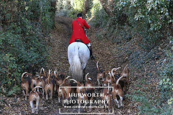 Huworth Hunt 258