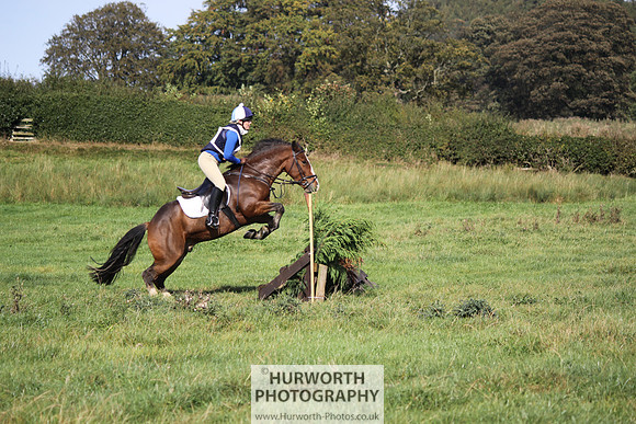 Hurworth Bilsdale Hedge Hop 341