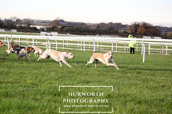 Countryside Raceday 133