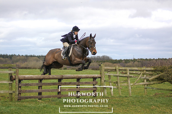 Hurworth Hunt 280