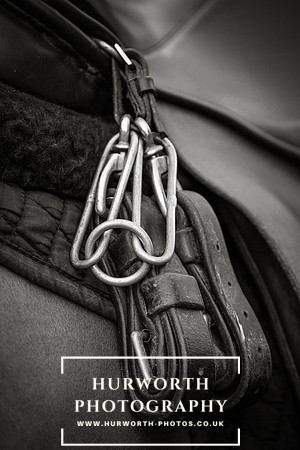 Hurworth Hunt 501