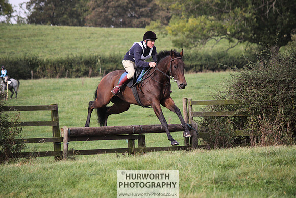 Hurworth Bilsdale Hedge Hop 107