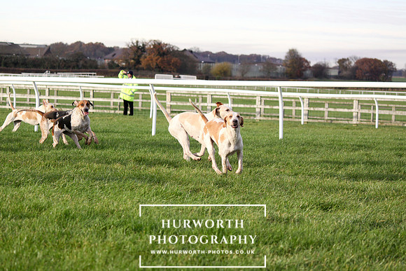 Countryside Raceday 135