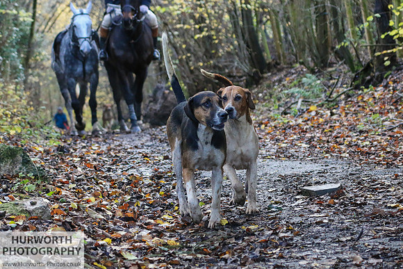 Hurworth Hunt 78