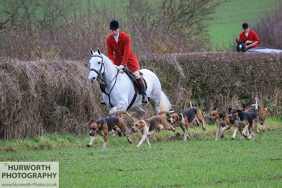 Hurworth Hunt 185