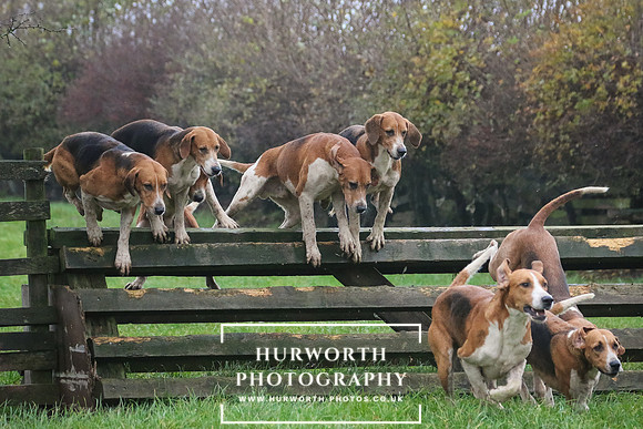 Hurworth Hunt  133