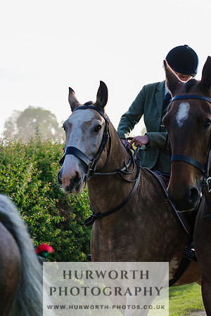 Hurworth Hunt 096