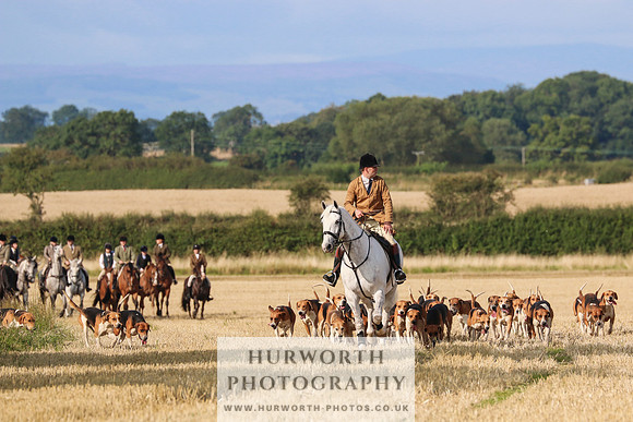 Hurworth Hunt 228