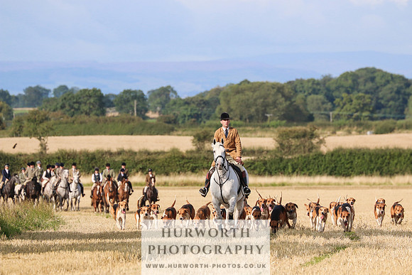 Hurworth Hunt 229