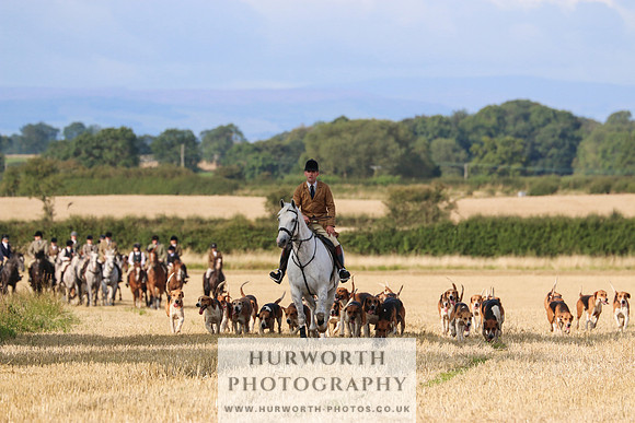 Hurworth Hunt 231