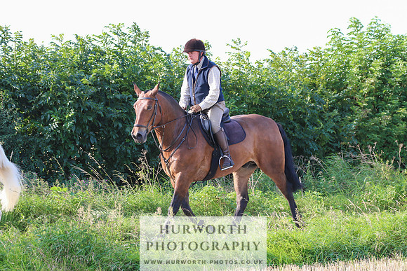 Hurworth Hunt 279