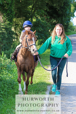 Hurworth Hunt 294