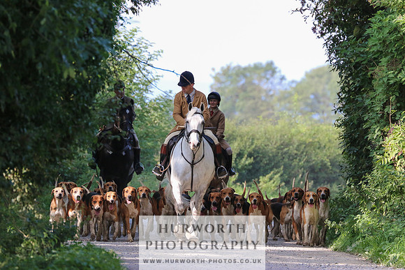 Hurworth Hunt 295
