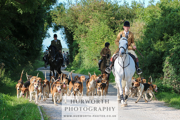 Hurworth Hunt 299