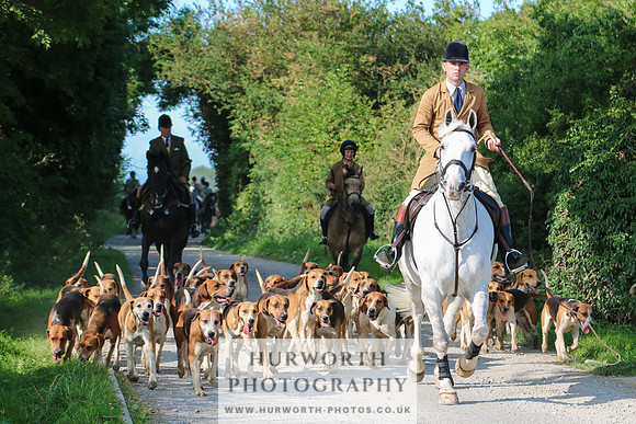 Hurworth Hunt 301