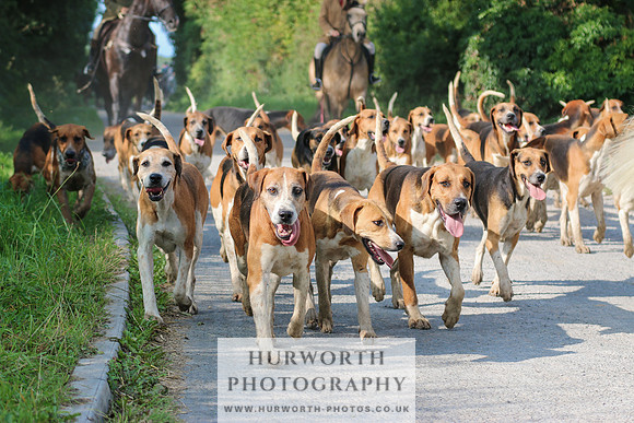 Hurworth Hunt 303